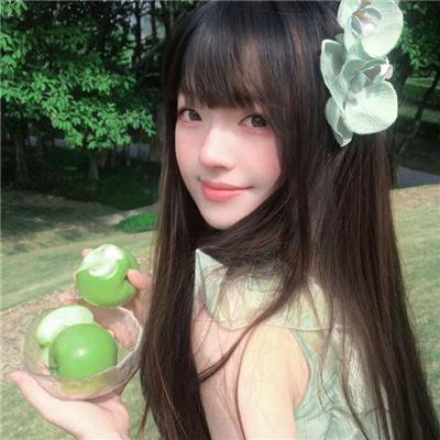 东坡